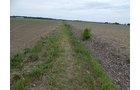 Property photo 90 - *** Accepted Offer. Auction Cancelled *** - COMPLETE DAIRY DISPERSAL AUCTION - 934+/- ACRES IN 11 TRACTS IN PAULDING & VAN WERT COUNTIES, OHIO