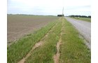 Property photo 112 - *** Accepted Offer. Auction Cancelled *** - COMPLETE DAIRY DISPERSAL AUCTION - 934+/- ACRES IN 11 TRACTS IN PAULDING & VAN WERT COUNTIES, OHIO