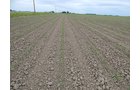 Property photo 118 - *** Accepted Offer. Auction Cancelled *** - COMPLETE DAIRY DISPERSAL AUCTION - 934+/- ACRES IN 11 TRACTS IN PAULDING & VAN WERT COUNTIES, OHIO