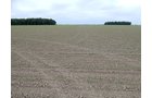 Property photo 100 - *** Accepted Offer. Auction Cancelled *** - COMPLETE DAIRY DISPERSAL AUCTION - 934+/- ACRES IN 11 TRACTS IN PAULDING & VAN WERT COUNTIES, OHIO