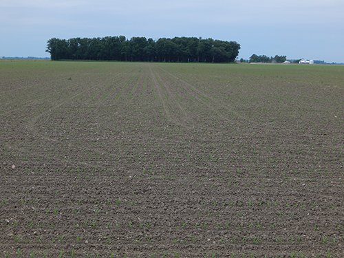 Property photo 134 - *** Accepted Offer. Auction Cancelled *** - COMPLETE DAIRY DISPERSAL AUCTION - 934+/- ACRES IN 11 TRACTS IN PAULDING & VAN WERT COUNTIES, OHIO