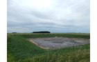 Property photo 130 - *** Accepted Offer. Auction Cancelled *** - COMPLETE DAIRY DISPERSAL AUCTION - 934+/- ACRES IN 11 TRACTS IN PAULDING & VAN WERT COUNTIES, OHIO
