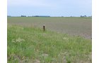 Property photo 84 - *** Accepted Offer. Auction Cancelled *** - COMPLETE DAIRY DISPERSAL AUCTION - 934+/- ACRES IN 11 TRACTS IN PAULDING & VAN WERT COUNTIES, OHIO