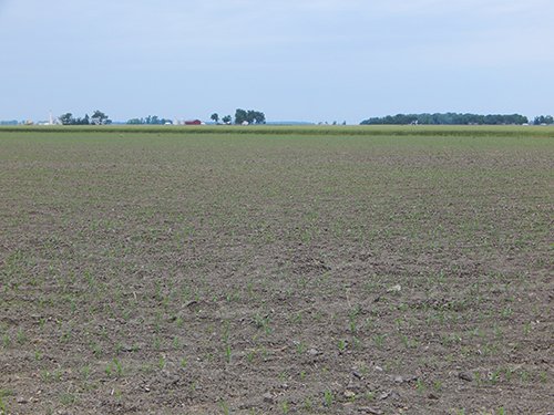 Property photo 131 - *** Accepted Offer. Auction Cancelled *** - COMPLETE DAIRY DISPERSAL AUCTION - 934+/- ACRES IN 11 TRACTS IN PAULDING & VAN WERT COUNTIES, OHIO