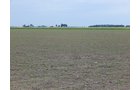 Property photo 131 - *** Accepted Offer. Auction Cancelled *** - COMPLETE DAIRY DISPERSAL AUCTION - 934+/- ACRES IN 11 TRACTS IN PAULDING & VAN WERT COUNTIES, OHIO
