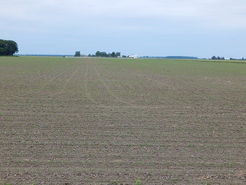 Property photo 107 - *** Accepted Offer. Auction Cancelled *** - COMPLETE DAIRY DISPERSAL AUCTION - 934+/- ACRES IN 11 TRACTS IN PAULDING & VAN WERT COUNTIES, OHIO