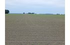 Property photo 107 - *** Accepted Offer. Auction Cancelled *** - COMPLETE DAIRY DISPERSAL AUCTION - 934+/- ACRES IN 11 TRACTS IN PAULDING & VAN WERT COUNTIES, OHIO
