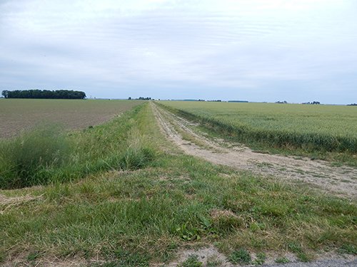 Property photo 88 - *** Accepted Offer. Auction Cancelled *** - COMPLETE DAIRY DISPERSAL AUCTION - 934+/- ACRES IN 11 TRACTS IN PAULDING & VAN WERT COUNTIES, OHIO