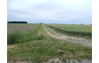 Property photo 88 - *** Accepted Offer. Auction Cancelled *** - COMPLETE DAIRY DISPERSAL AUCTION - 934+/- ACRES IN 11 TRACTS IN PAULDING & VAN WERT COUNTIES, OHIO