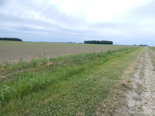 Property photo 96 - *** Accepted Offer. Auction Cancelled *** - COMPLETE DAIRY DISPERSAL AUCTION - 934+/- ACRES IN 11 TRACTS IN PAULDING & VAN WERT COUNTIES, OHIO