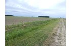 Property photo 96 - *** Accepted Offer. Auction Cancelled *** - COMPLETE DAIRY DISPERSAL AUCTION - 934+/- ACRES IN 11 TRACTS IN PAULDING & VAN WERT COUNTIES, OHIO