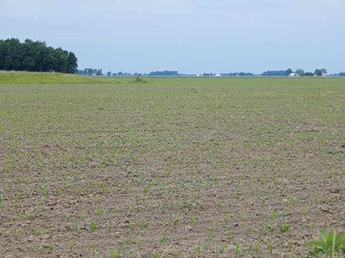 Property photo 104 - *** Accepted Offer. Auction Cancelled *** - COMPLETE DAIRY DISPERSAL AUCTION - 934+/- ACRES IN 11 TRACTS IN PAULDING & VAN WERT COUNTIES, OHIO