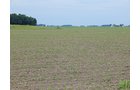 Property photo 104 - *** Accepted Offer. Auction Cancelled *** - COMPLETE DAIRY DISPERSAL AUCTION - 934+/- ACRES IN 11 TRACTS IN PAULDING & VAN WERT COUNTIES, OHIO