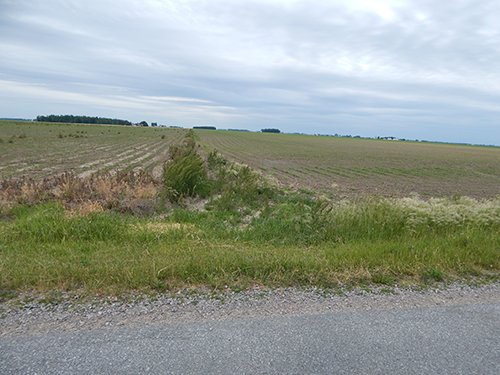 Property photo 110 - *** Accepted Offer. Auction Cancelled *** - COMPLETE DAIRY DISPERSAL AUCTION - 934+/- ACRES IN 11 TRACTS IN PAULDING & VAN WERT COUNTIES, OHIO