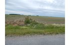 Property photo 110 - *** Accepted Offer. Auction Cancelled *** - COMPLETE DAIRY DISPERSAL AUCTION - 934+/- ACRES IN 11 TRACTS IN PAULDING & VAN WERT COUNTIES, OHIO