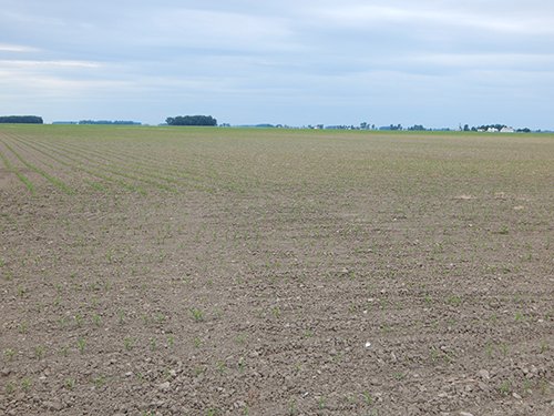 Property photo 68 - *** Accepted Offer. Auction Cancelled *** - COMPLETE DAIRY DISPERSAL AUCTION - 934+/- ACRES IN 11 TRACTS IN PAULDING & VAN WERT COUNTIES, OHIO