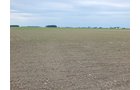 Property photo 68 - *** Accepted Offer. Auction Cancelled *** - COMPLETE DAIRY DISPERSAL AUCTION - 934+/- ACRES IN 11 TRACTS IN PAULDING & VAN WERT COUNTIES, OHIO