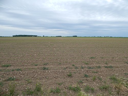 Property photo 89 - *** Accepted Offer. Auction Cancelled *** - COMPLETE DAIRY DISPERSAL AUCTION - 934+/- ACRES IN 11 TRACTS IN PAULDING & VAN WERT COUNTIES, OHIO