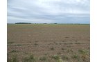 Property photo 89 - *** Accepted Offer. Auction Cancelled *** - COMPLETE DAIRY DISPERSAL AUCTION - 934+/- ACRES IN 11 TRACTS IN PAULDING & VAN WERT COUNTIES, OHIO