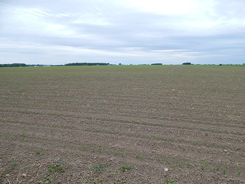 Property photo 98 - *** Accepted Offer. Auction Cancelled *** - COMPLETE DAIRY DISPERSAL AUCTION - 934+/- ACRES IN 11 TRACTS IN PAULDING & VAN WERT COUNTIES, OHIO