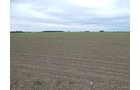 Property photo 98 - *** Accepted Offer. Auction Cancelled *** - COMPLETE DAIRY DISPERSAL AUCTION - 934+/- ACRES IN 11 TRACTS IN PAULDING & VAN WERT COUNTIES, OHIO