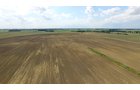 Property photo 4 - *** Accepted Offer. Auction Cancelled *** - COMPLETE DAIRY DISPERSAL AUCTION - 934+/- ACRES IN 11 TRACTS IN PAULDING & VAN WERT COUNTIES, OHIO