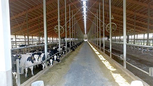 Property photo 5 - *** Accepted Offer. Auction Cancelled *** - COMPLETE DAIRY DISPERSAL AUCTION - 934+/- ACRES IN 11 TRACTS IN PAULDING & VAN WERT COUNTIES, OHIO