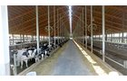 Property photo 5 - *** Accepted Offer. Auction Cancelled *** - COMPLETE DAIRY DISPERSAL AUCTION - 934+/- ACRES IN 11 TRACTS IN PAULDING & VAN WERT COUNTIES, OHIO