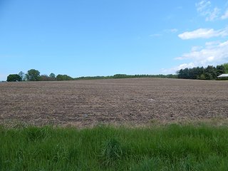 Property photo 31 - LAND AUCTION - 237+/- ACRES OFFERED IN 7 TRACTS IN LAPORTE COUNTY, INDIANA