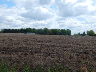 Property photo 32 - LAND AUCTION - 237+/- ACRES OFFERED IN 7 TRACTS IN LAPORTE COUNTY, INDIANA