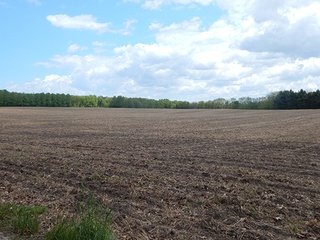 Property photo 30 - LAND AUCTION - 237+/- ACRES OFFERED IN 7 TRACTS IN LAPORTE COUNTY, INDIANA