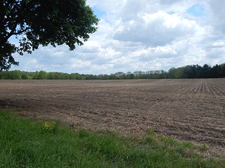 Property photo 29 - LAND AUCTION - 237+/- ACRES OFFERED IN 7 TRACTS IN LAPORTE COUNTY, INDIANA