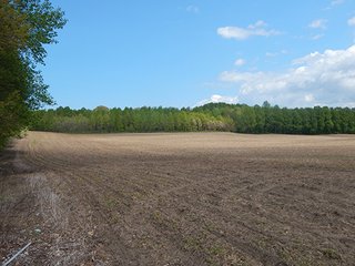 Property photo 19 - LAND AUCTION - 237+/- ACRES OFFERED IN 7 TRACTS IN LAPORTE COUNTY, INDIANA