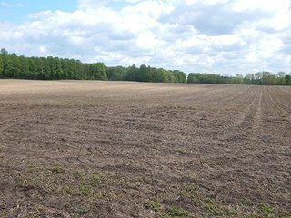 Property photo 20 - LAND AUCTION - 237+/- ACRES OFFERED IN 7 TRACTS IN LAPORTE COUNTY, INDIANA