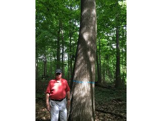 Property photo 7 - LAND AUCTION - 237+/- ACRES OFFERED IN 7 TRACTS IN LAPORTE COUNTY, INDIANA