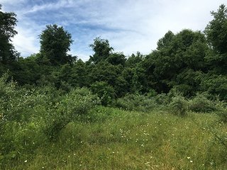 Property photo 16 - LAND AUCTION - 237+/- ACRES OFFERED IN 7 TRACTS IN LAPORTE COUNTY, INDIANA