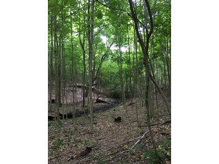 Property photo 9 - LAND AUCTION - 237+/- ACRES OFFERED IN 7 TRACTS IN LAPORTE COUNTY, INDIANA