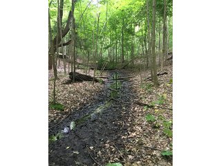 Property photo 17 - LAND AUCTION - 237+/- ACRES OFFERED IN 7 TRACTS IN LAPORTE COUNTY, INDIANA
