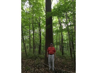Property photo 6 - LAND AUCTION - 237+/- ACRES OFFERED IN 7 TRACTS IN LAPORTE COUNTY, INDIANA