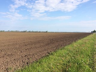 Property photo 28 - LAND AUCTION - 237+/- ACRES OFFERED IN 7 TRACTS IN LAPORTE COUNTY, INDIANA