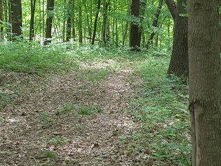 Property photo 14 - LAND AUCTION - 237+/- ACRES OFFERED IN 7 TRACTS IN LAPORTE COUNTY, INDIANA
