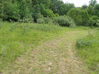 Property photo 15 - LAND AUCTION - 237+/- ACRES OFFERED IN 7 TRACTS IN LAPORTE COUNTY, INDIANA