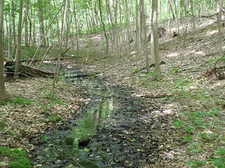 Property photo 18 - LAND AUCTION - 237+/- ACRES OFFERED IN 7 TRACTS IN LAPORTE COUNTY, INDIANA