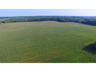 Property photo 1 - LAND AUCTION - 237+/- ACRES OFFERED IN 7 TRACTS IN LAPORTE COUNTY, INDIANA