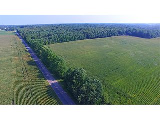 Property photo 3 - LAND AUCTION - 237+/- ACRES OFFERED IN 7 TRACTS IN LAPORTE COUNTY, INDIANA