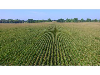 Tract 2 - LAND AUCTION - 237+/- ACRES OFFERED IN 7 TRACTS IN LAPORTE COUNTY, INDIANA