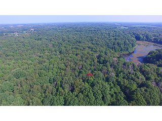 Tracts 6 & 7 - LAND AUCTION - 237+/- ACRES OFFERED IN 7 TRACTS IN LAPORTE COUNTY, INDIANA
