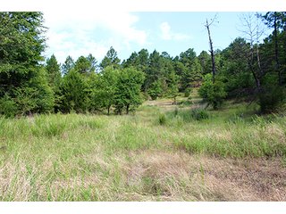 Property photo 28 - LAND AUCTION - 1,976+/- ACRES OFFERED IN 13 TRACTS IN PITTSBURGH & HASKELL COUNTIES, OKLAHOMA