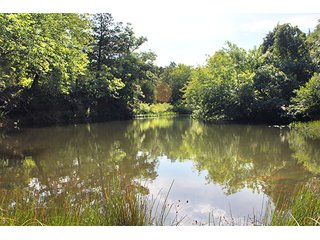 Property photo 29 - LAND AUCTION - 1,976+/- ACRES OFFERED IN 13 TRACTS IN PITTSBURGH & HASKELL COUNTIES, OKLAHOMA