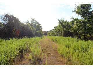 Property photo 30 - LAND AUCTION - 1,976+/- ACRES OFFERED IN 13 TRACTS IN PITTSBURGH & HASKELL COUNTIES, OKLAHOMA